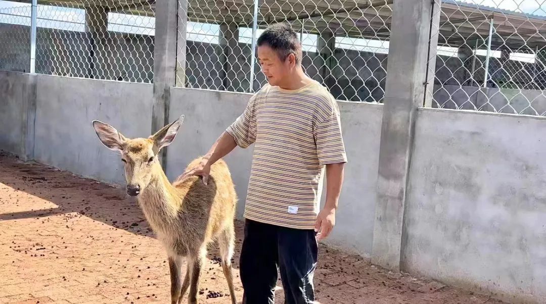 娱乐平台免费彩金